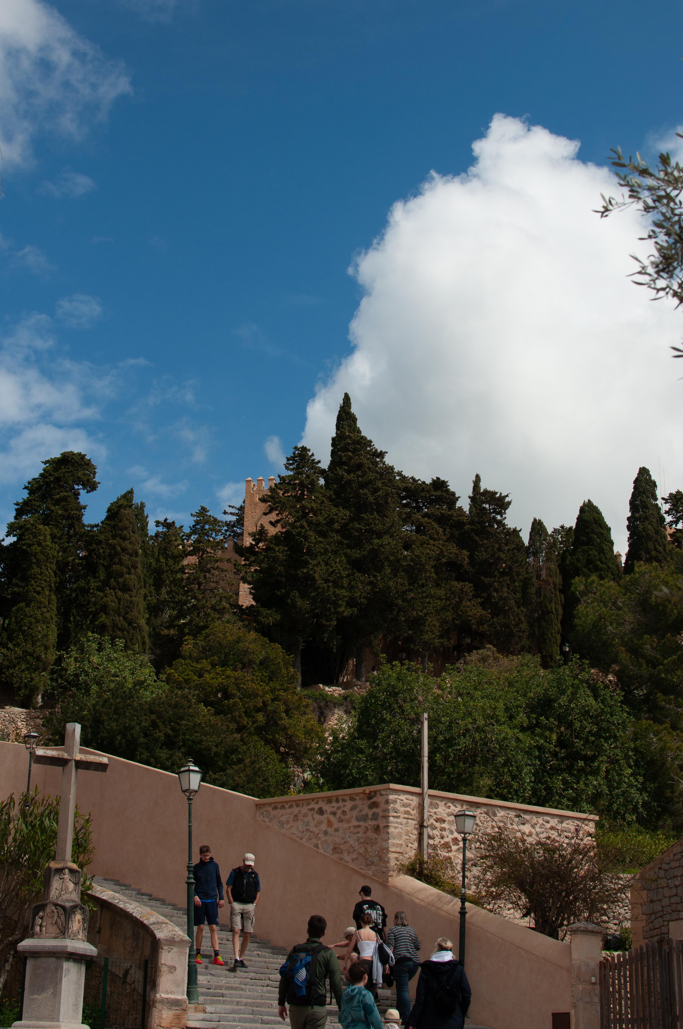 Photo 31